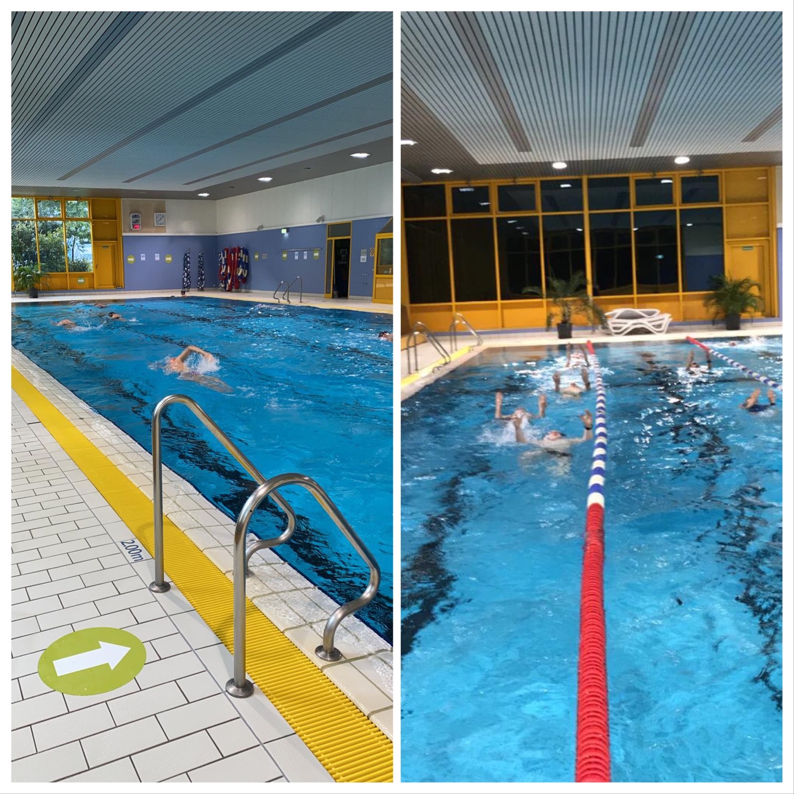 20210613 Schimmen Doppelbild1