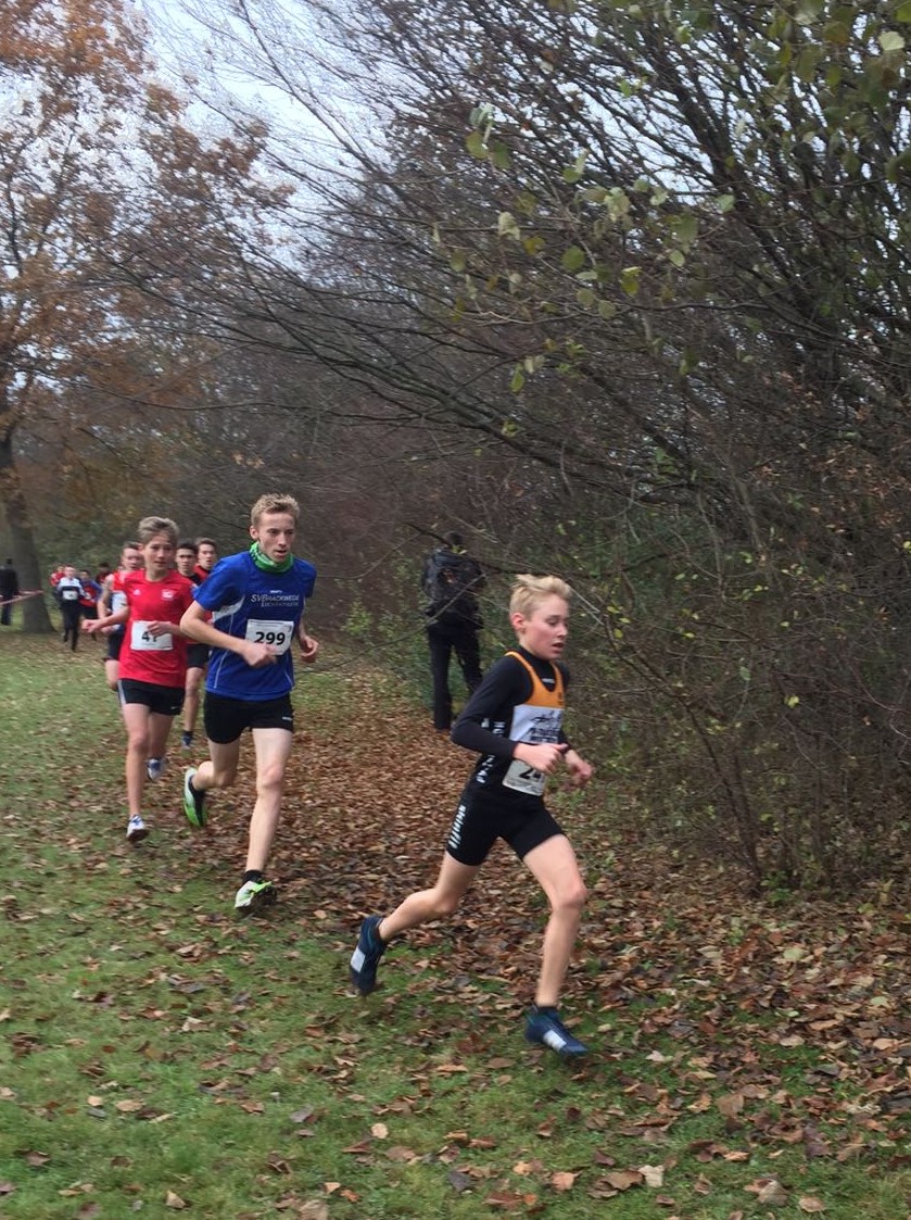 Fahrenson Luca CrossLM2016