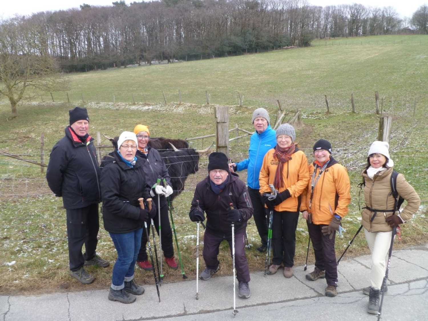 Nordic Walker in der Kälte